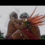 Mostra Ecofalante de Cinema chega à 12ª edição com 101 filmes