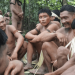 Mostra Ecofalante anuncia os filmes premiados na 12ª edição