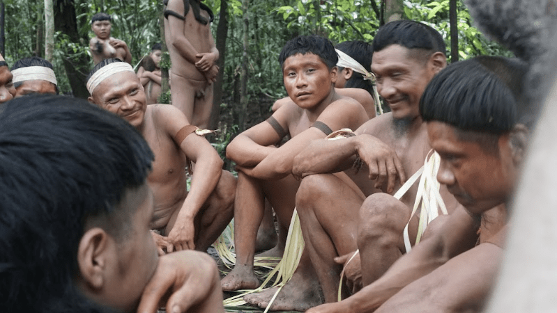 Mostra Ecofalante anuncia os filmes premiados na 12ª edição