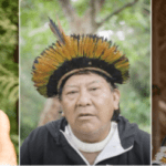 Guaratinguetá recebe festival gratuito de cinema em uma parceria feita entre a Mostra Ecofalante de Cinema e a BASF