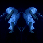 Janu traz sombras, sonhos e e psicodelia em clipe de “Caiu no Poço”