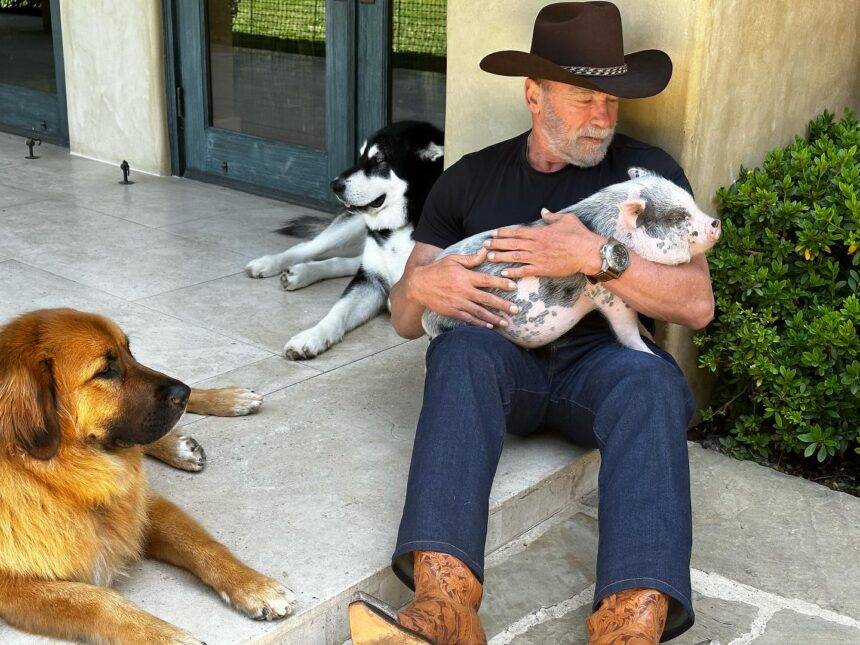 Arnold Schwarzenegger fala sobre Maria Shriver e seu apoio contínuo