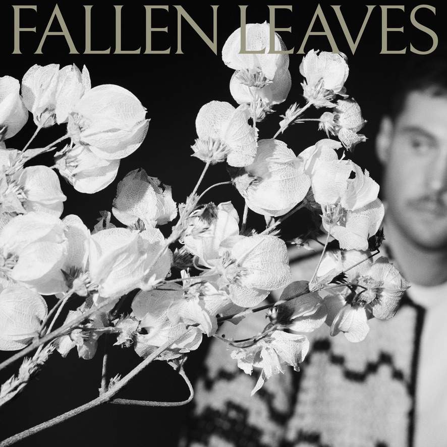 Blue Mar lança “Fallen Leaves” unindo guitarras alternativas e elementos do samba