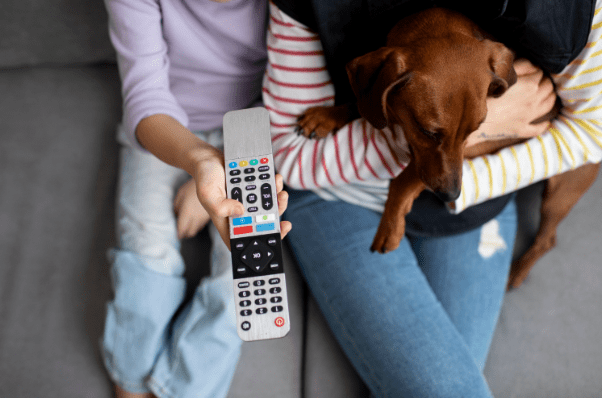 Uma audiência que destaca as conexões humanas