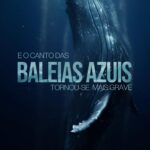 Michel Provost lança “E o Canto das Baleias Azuis Tornou-se Mais Grave”