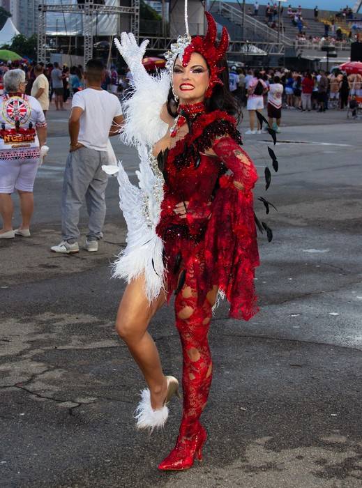 A linguagem artística do carnaval: Milene Gonzalez e a Acadêmicos do Tucuruvi