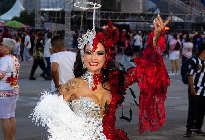 A linguagem artística do carnaval: Milene Gonzalez e a Acadêmicos do Tucuruvi