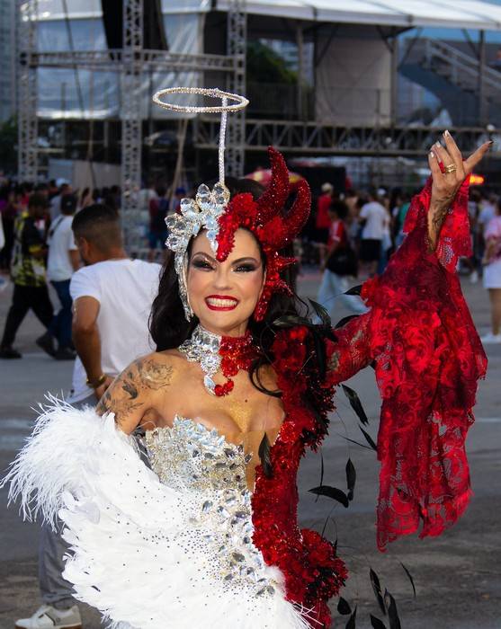 A linguagem artística do carnaval: Milene Gonzalez e a Acadêmicos do Tucuruvi