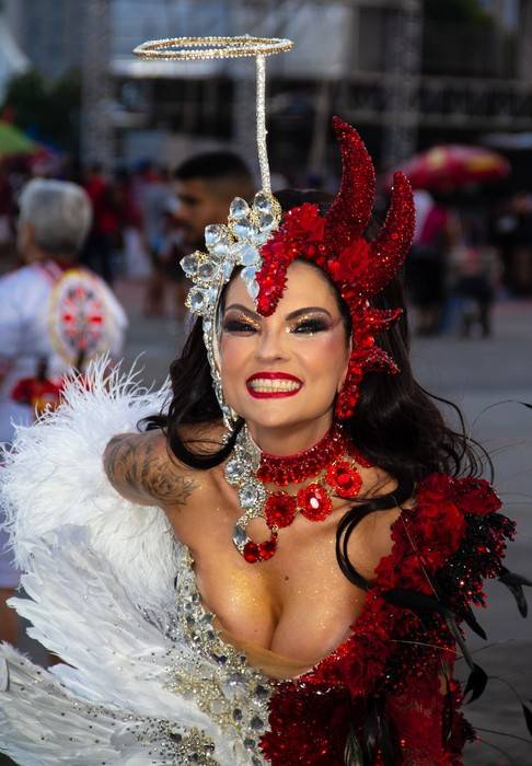 A linguagem artística do carnaval: Milene Gonzalez e a Acadêmicos do Tucuruvi