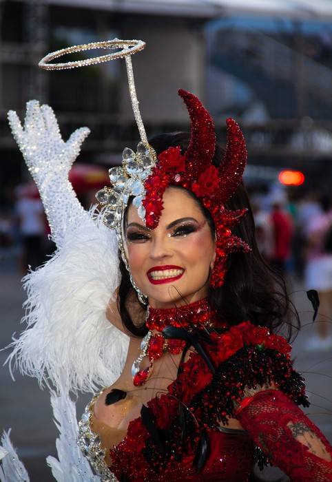 A linguagem artística do carnaval: Milene Gonzalez e a Acadêmicos do Tucuruvi