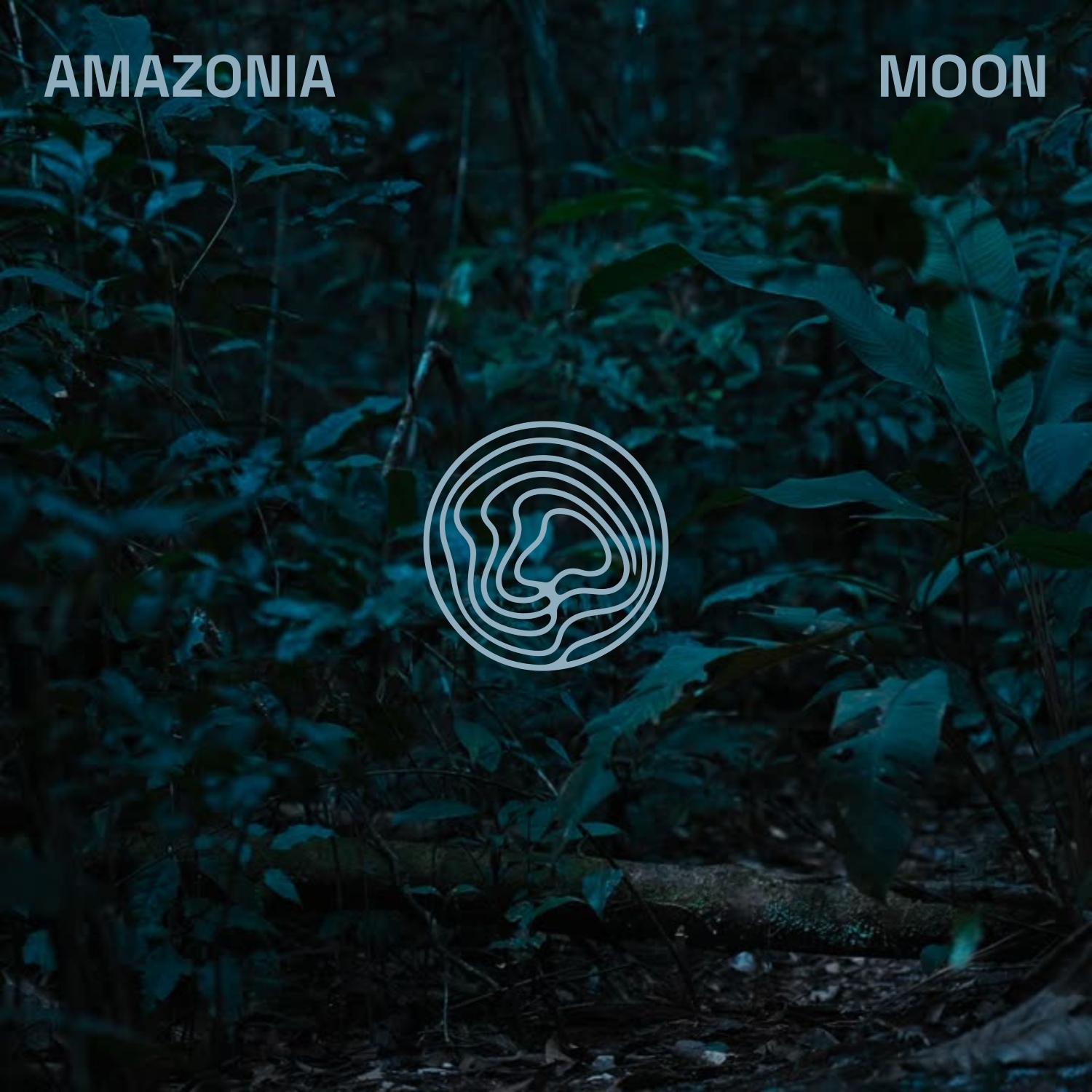 Sleep Tales lança álbuns captados na Floresta Amazônica com tecnologia imersiva