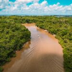 Dia do Meio Ambiente: Sleep Tales utiliza sons da Amazônia como ferramenta de bem-estar