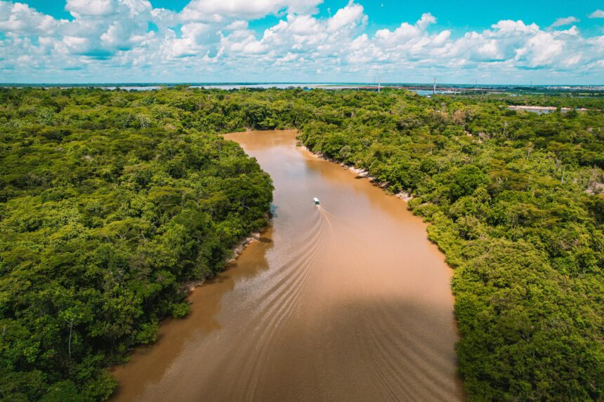 Dia do Meio Ambiente: Sleep Tales utiliza sons da Amazônia como ferramenta de bem-estar
